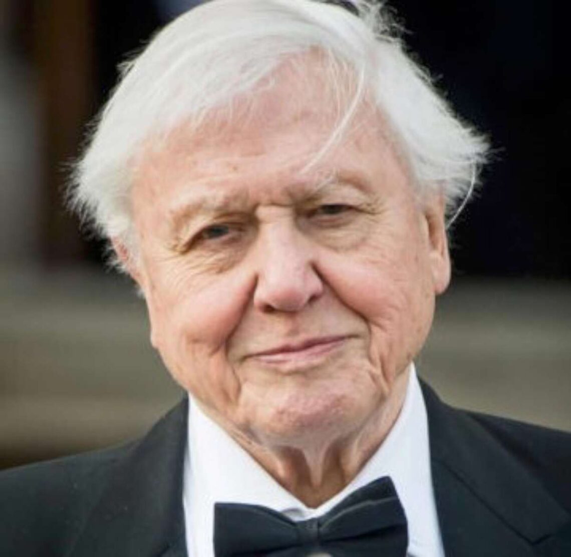 Gamtininkas Davidas Atenboras (David Attenborough)