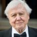 Gamtininkas Davidas Atenboras (David Attenborough)