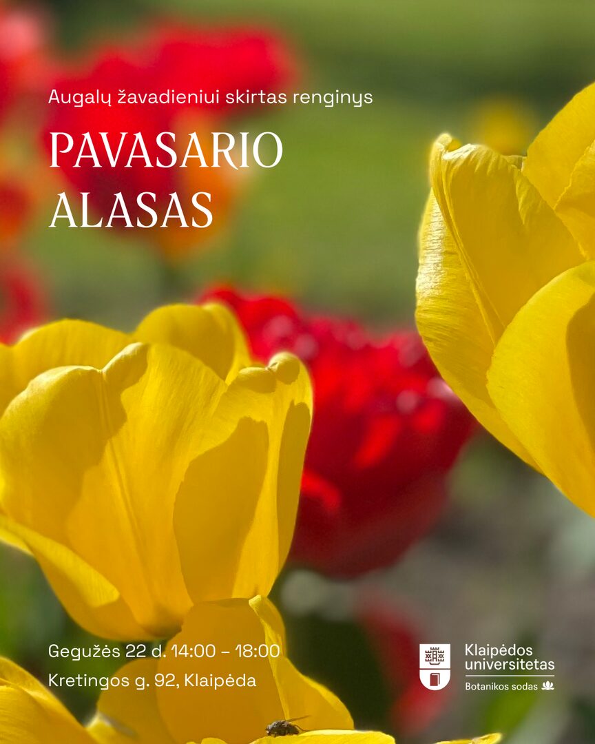 KU Botanikos sodas kviečia į „Pavasario alasą“ 