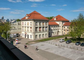 LNDM Radvilų rūmų dailės muziejus