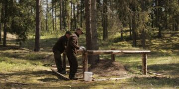 VMU saugo vienas svarbiausių miško gyventojų – skruzdėles