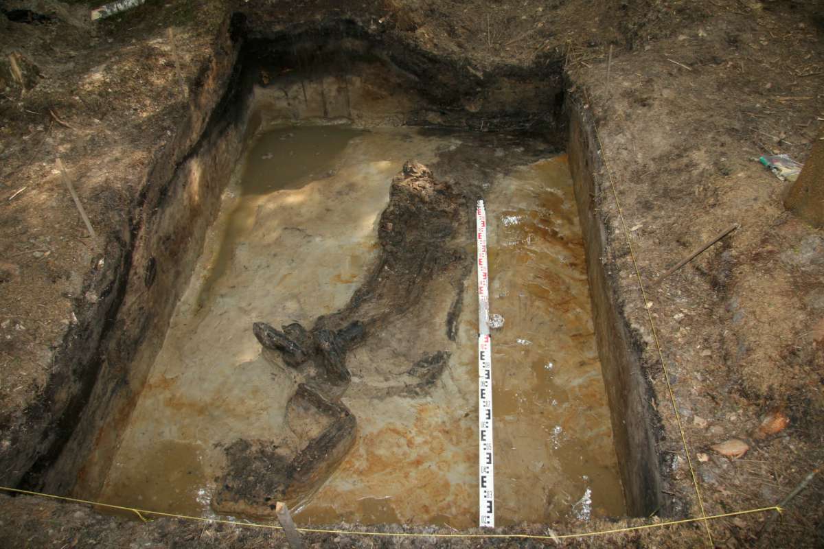 Žuvusių apkase vokiečių parašiutininkų palaikų fragmentai. Vadų miškas, 2013 m. 