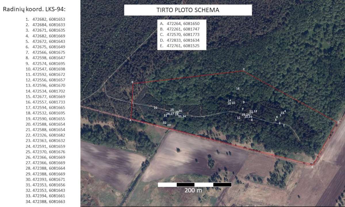 Antrųjų partizanų puskarininkių kursų vietos schema. Sudarė E. Kuckailis