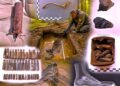 Archeologiniai Lietuvos partizanų kovų vietų tyrimai