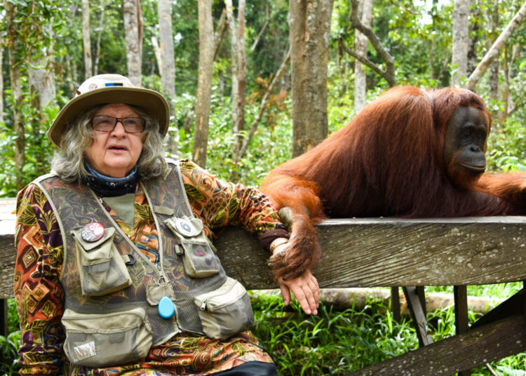 Birutė Galdikas. Filmo Primatologų trijulė kadras
