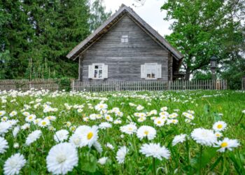 Kleboniškių muziejuje teatrų ratą pradės spektaklis „Petras Kurmelis“