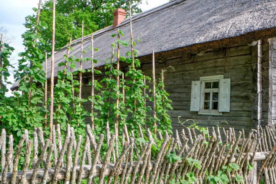 Kleboniškių kaimo buities muziejuje (Radviliškio r.) tęsis ciklas „Šeštadienių popietės klojimo teatre“