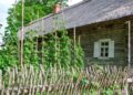 Kleboniškių kaimo buities muziejuje (Radviliškio r.) tęsis ciklas „Šeštadienių popietės klojimo teatre“