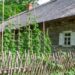Kleboniškių kaimo buities muziejuje (Radviliškio r.) tęsis ciklas „Šeštadienių popietės klojimo teatre“