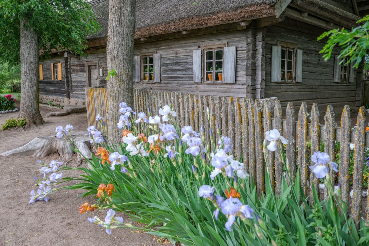Kleboniškių muziejuje teatrų ratą pradės spektaklis „Petras Kurmelis“