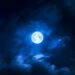 pilnatis