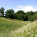 Gamta