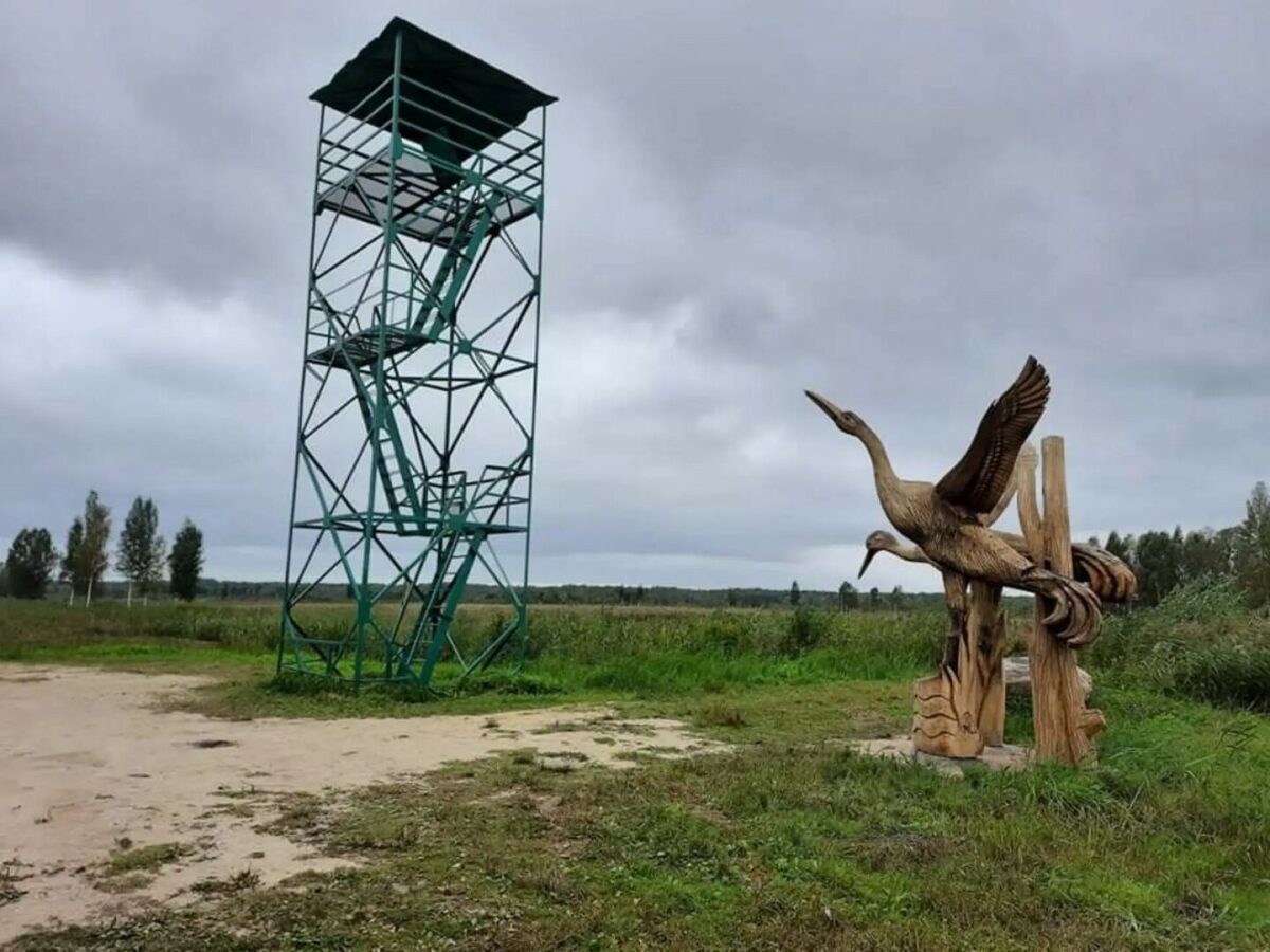 Keturi keliai, padėsiantys atrasti Suvalkijos miškų grožį