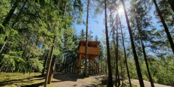 Keturi keliai, padėsiantys atrasti Suvalkijos miškų grožį