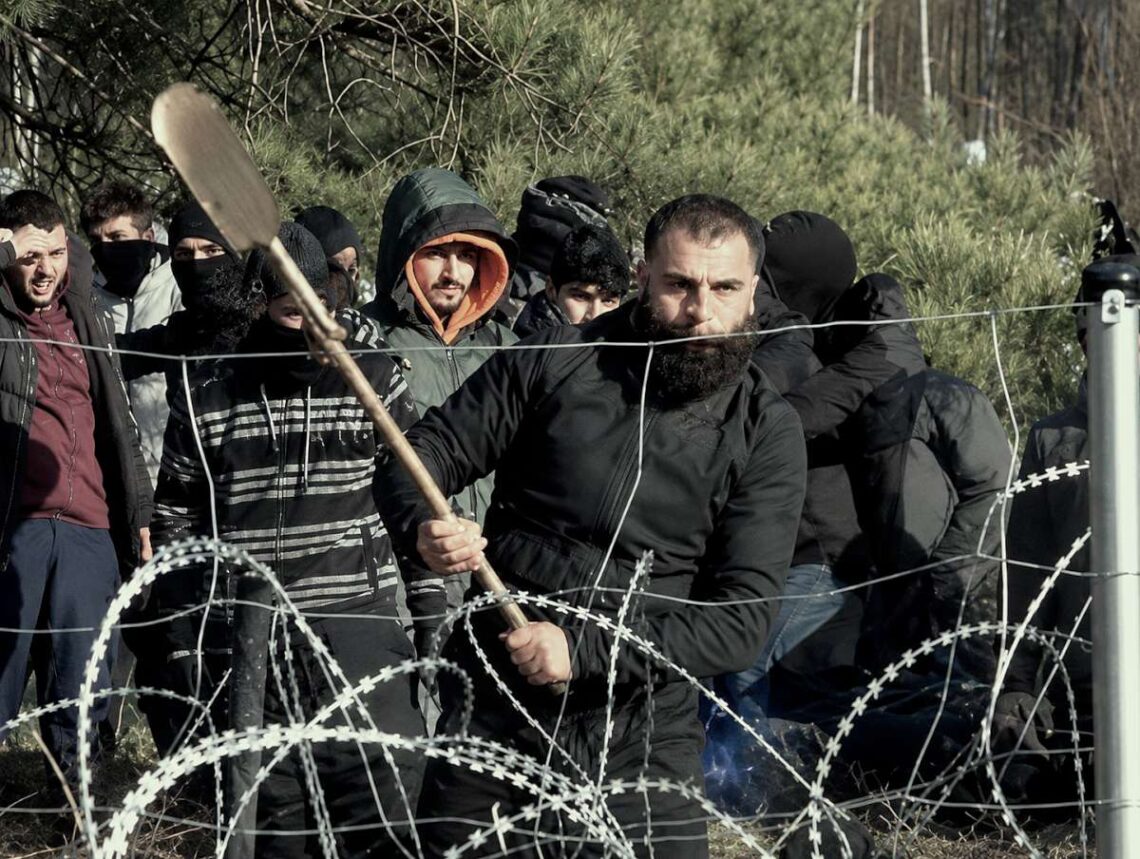 Nelegalus migrantas puola Lietuvos sieną