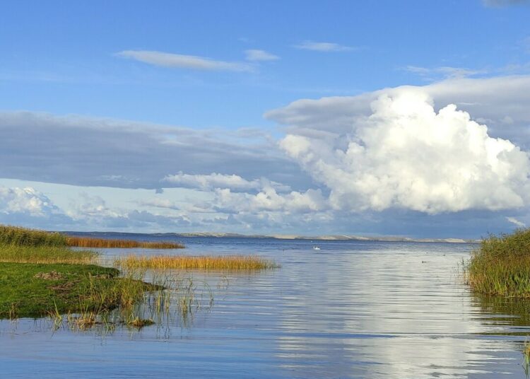 Kuršių marios