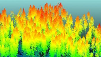 LiDar lazerinio skenavimo vaizdas 