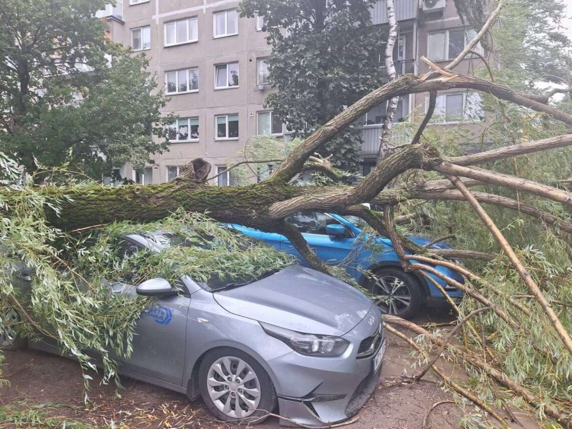 Audros nusiaubta Lietuva skaičiuoja žalą: daugiau kaip 200 tūkst. vartotojų tebėra be elektros