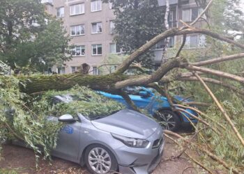 Audros nusiaubta Lietuva skaičiuoja žalą: daugiau kaip 200 tūkst. vartotojų tebėra be elektros