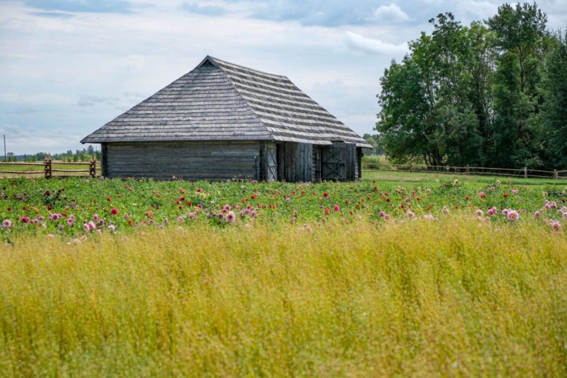 Poečių partizanių likimą primins spektaklis „Žodžiai, sklidę miškais“