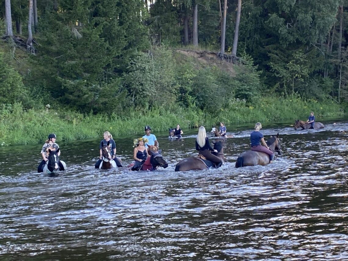 Naktigonė