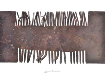 XVII a. pab. – XVIII a. pr. Vario lydinys. Ilgis – 7,5 cm, plotis – 3,5 cm, storis – 0,05 cm. Restauravo Rima Niunkienė, rest. prot. Nr. 719/10339