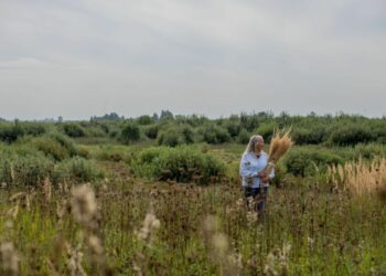 Kokia ši vasara buvo augmenijai?