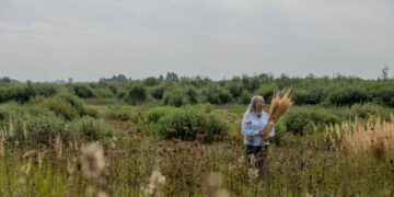 Kokia ši vasara buvo augmenijai?