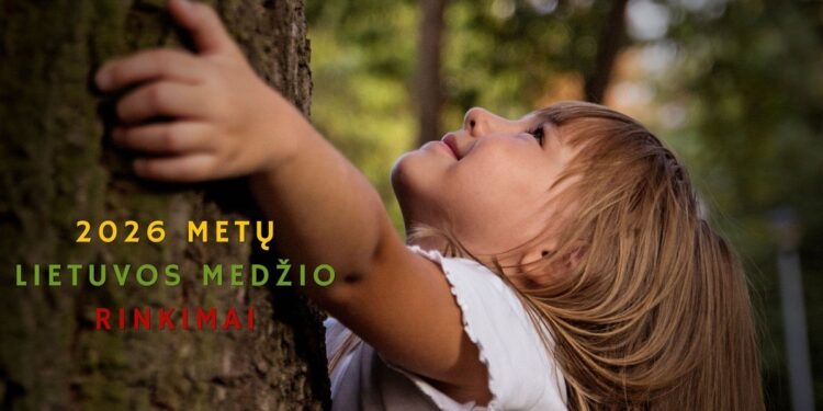 Vaikas apkabinęs medžio kamieną – 2026 metų Lietuvos medžio rinkimai