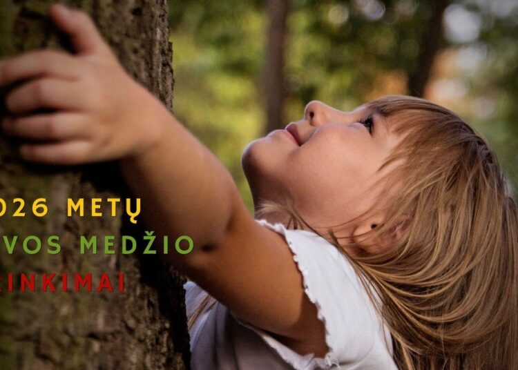 Vaikas apkabinęs medžio kamieną – 2026 metų Lietuvos medžio rinkimai