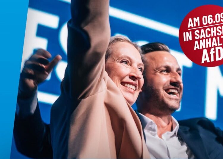AFD pergalė