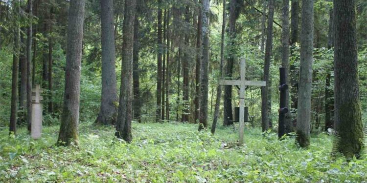 Kalesninkų miškas – laisvės kovotojo Kazimiero Pyplio žuvimo vieta