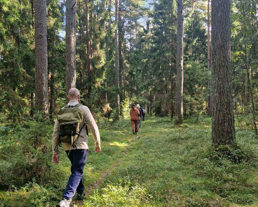 Žygio dalyviai eina miško taku Kretingos regioniniame padalinyje