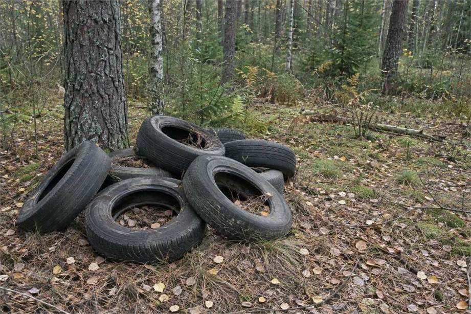 Miške išmesta senų automobilio padangų krūva