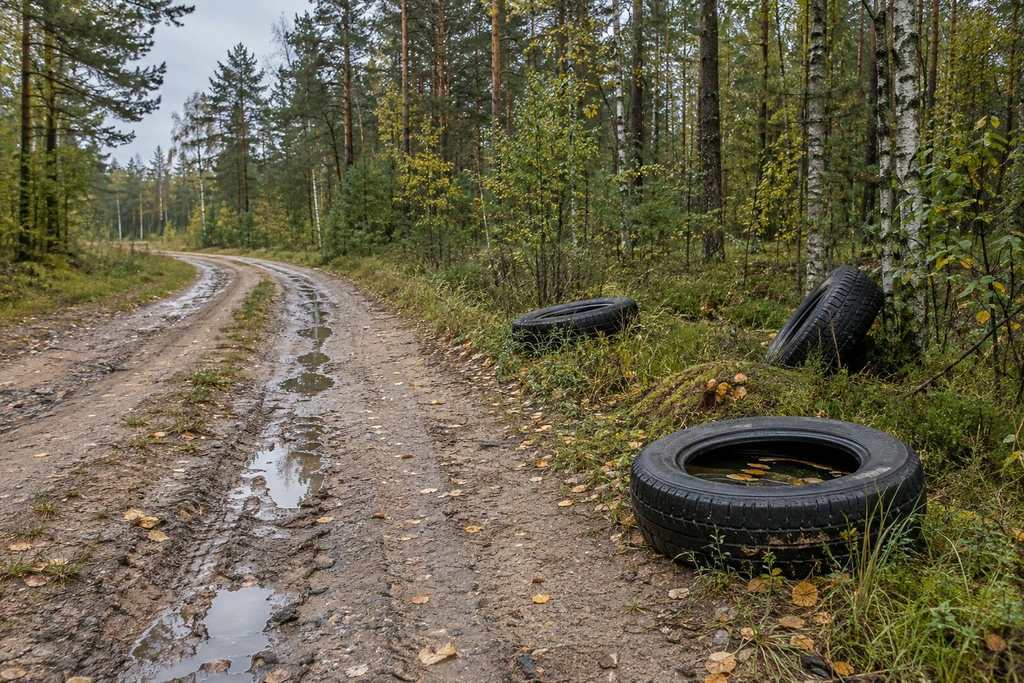 Senos automobilio padangos, paliktos prie miško kelio