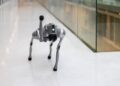 Robotas