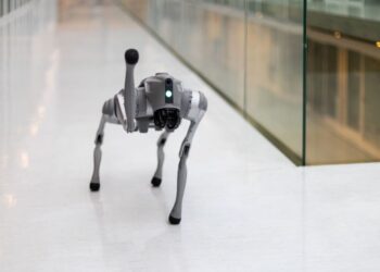 Robotas