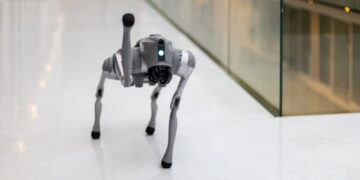 Robotas