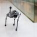 Robotas