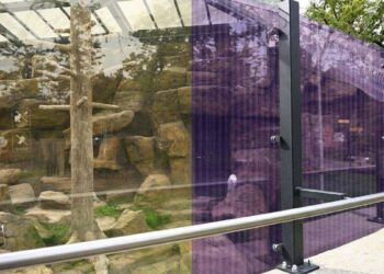 Lietuvos zoologijos sodo stiklinis aptvaras su paukščius saugančia UV spindulius atspindinčia plėvele
