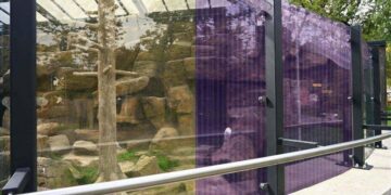 Lietuvos zoologijos sodo stiklinis aptvaras su paukščius saugančia UV spindulius atspindinčia plėvele