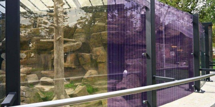 Lietuvos zoologijos sodo stiklinis aptvaras su paukščius saugančia UV spindulius atspindinčia plėvele
