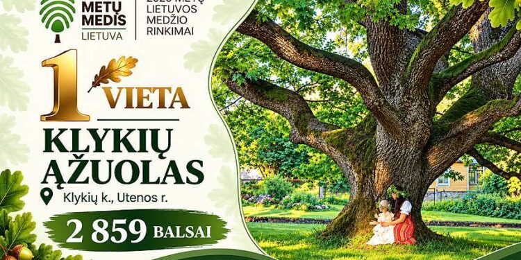 2026 metų Lietuvos medžio rinkimų nugalėtojo Klykių ąžuolo rengėjų vinjetė: pirmoji vieta ir 2859 balsai