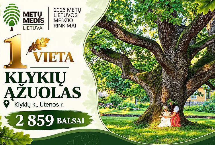 2026 metų Lietuvos medžio rinkimų nugalėtojo Klykių ąžuolo rengėjų vinjetė: pirmoji vieta ir 2859 balsai