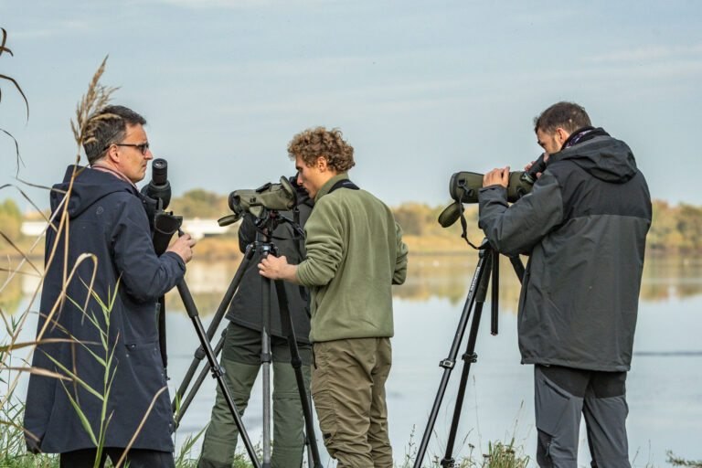 Paukščių stebėtojai su teleskopais prie vandens
