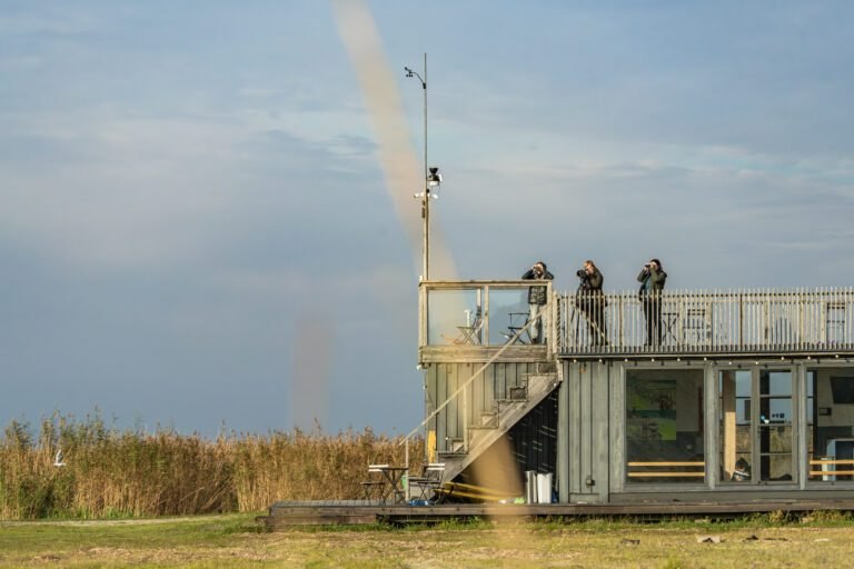 Paukščių stebėtojai ant apžvalgos pastato stogo