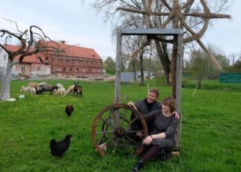 Du žmonės prie medinio rato Raubonių malūno aplinkoje, pievoje ganosi avys.
