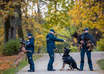 Klaipėdos kinologai | klaipeda.policija.lrv.lt nuotr.