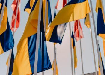 Ukrainos vėliavos | smsm.lrv.lt nuotr.