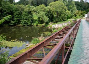 Žuvitakis | am.lrv.lt nuotr.